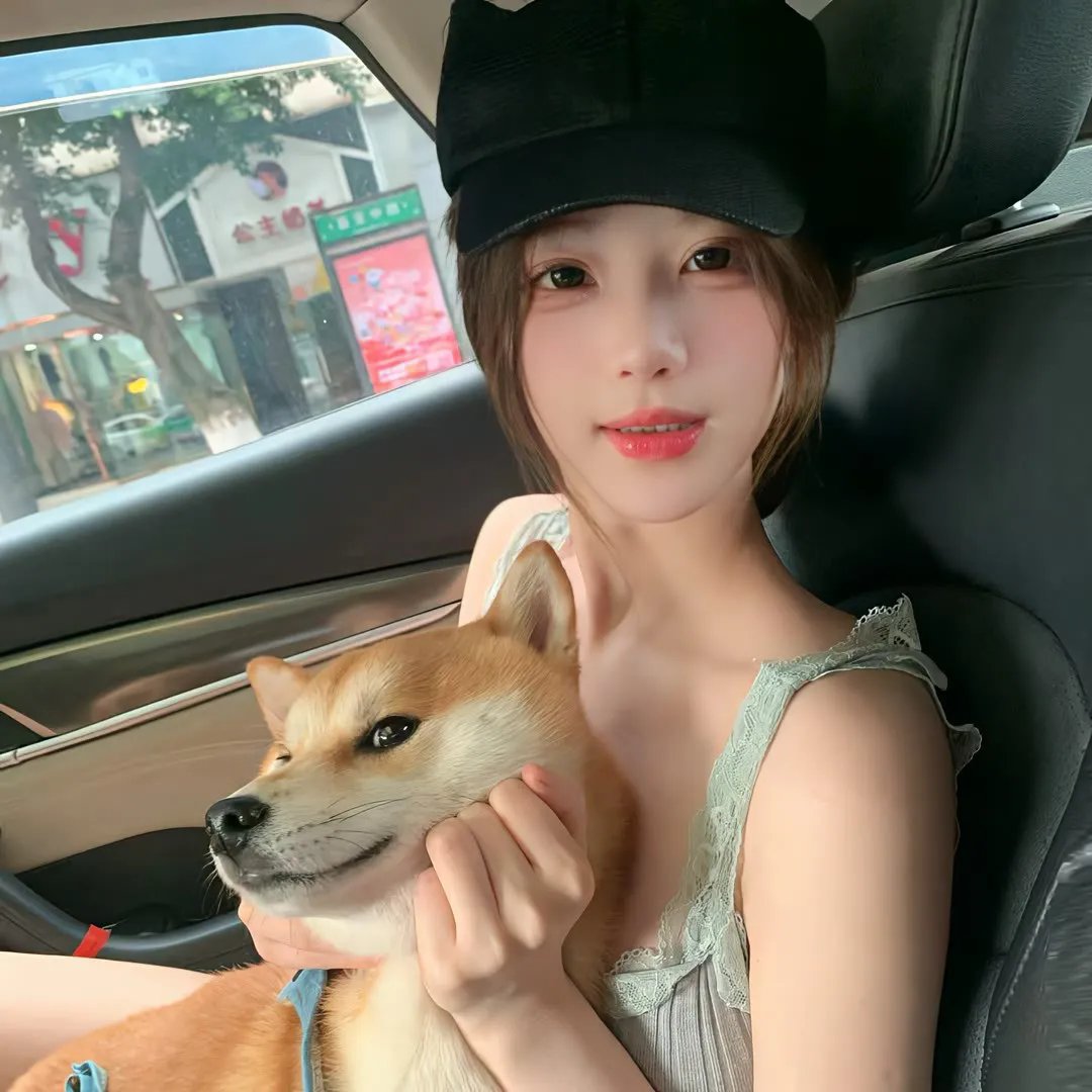 年度新片